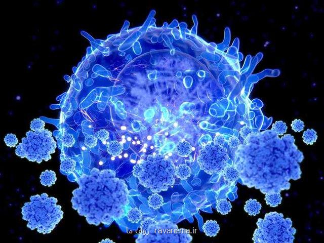 شناسایی ویروس كرونا با جهش دوگانه در ایالات متحده