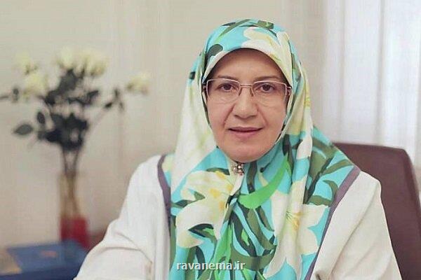 مراقبت های سفر در دوران حاملگی