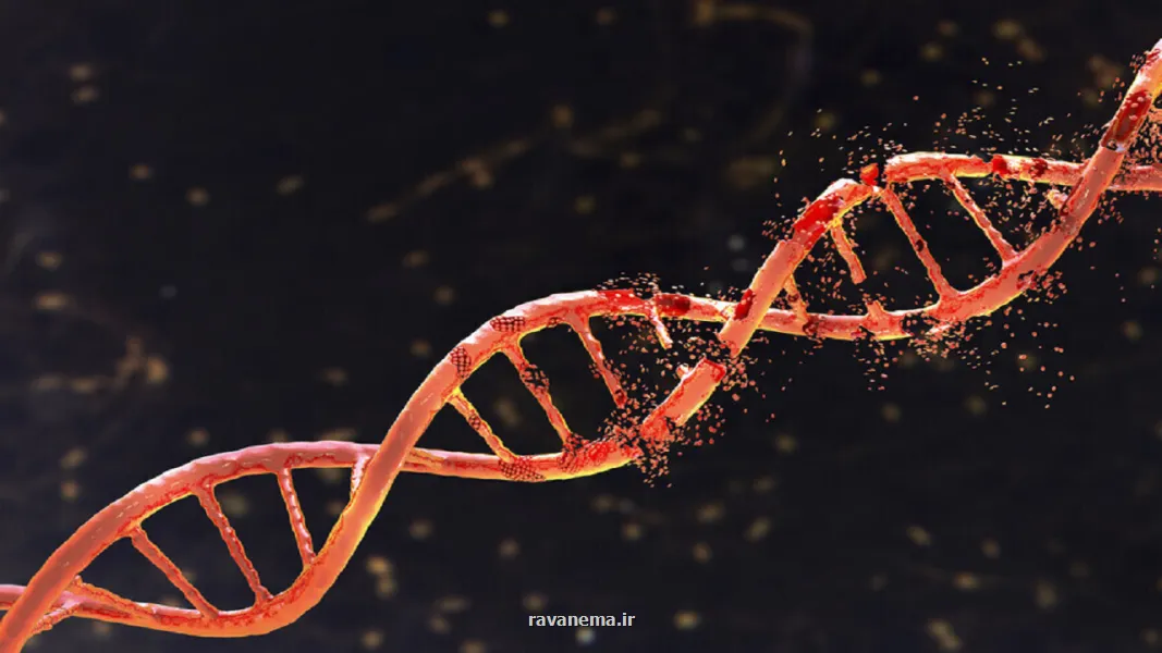 کند کردن روند سرطان روده با یک برنامه ورزشی ساده روزانه