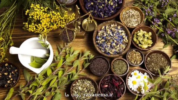 مصرف خودسرانه فرآورده های گیاهی خطرناکست