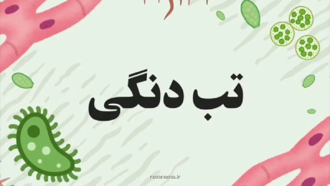 تب دنگی نیش پشه ها را جدی بگیریم به علاوه فیلم