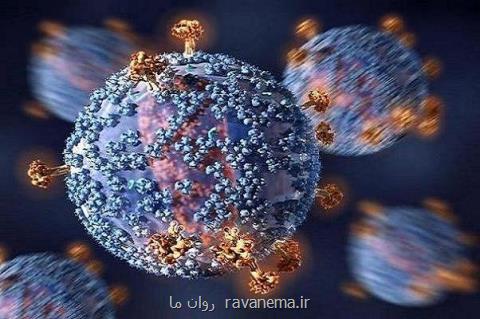 شناسایی آنتی بادی جدید انسانی كه از عفونت مالاریا پیشگیری می كند