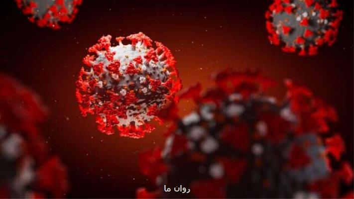 تاكید بر پیشگیری در مبارزه با كرونا